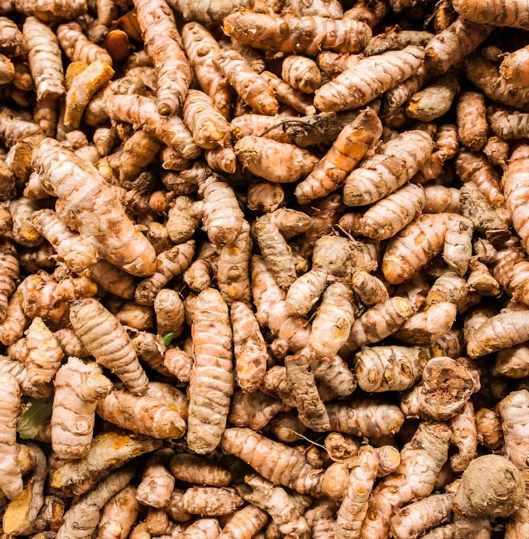Discover the Benefits of Turmeric in Everyday Life, from wellness support to everyday cooking ideas, with Spice Bridge and Go 4 Export India.