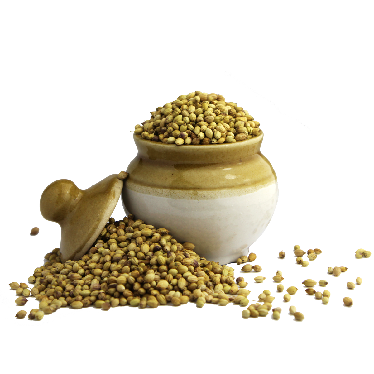 coriander seeds
