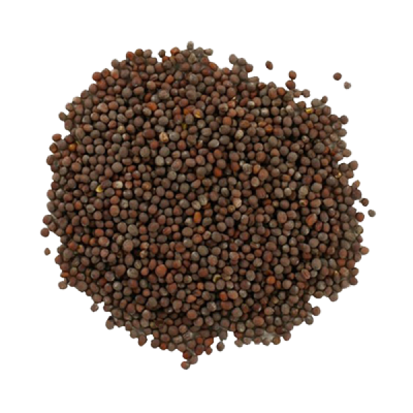 Black Mustard Seeds (Rai / Sarson)
